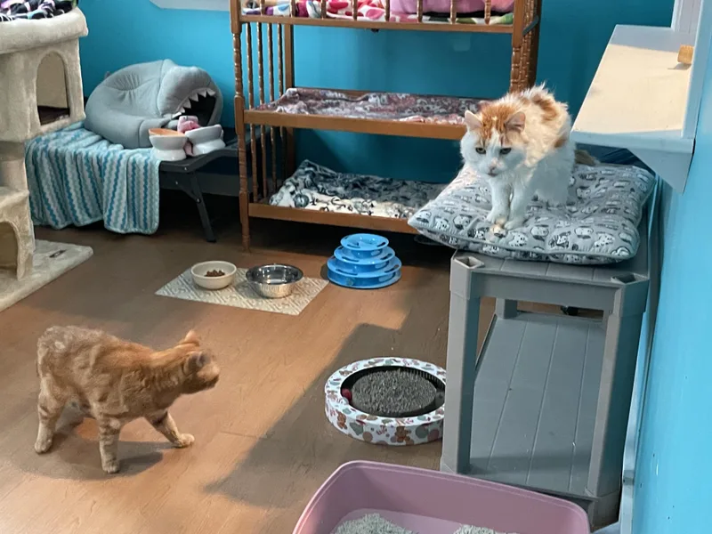 Cash & Tabatha thumbnail 3