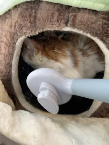 Cash & Tabatha thumbnail 4