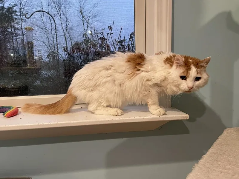 Cash & Tabatha thumbnail 5