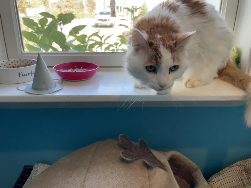 Cash & Tabatha thumbnail 6