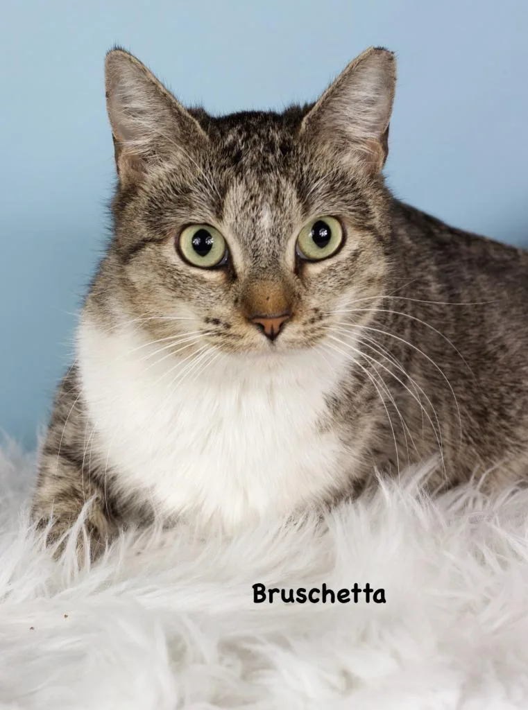 Bruschetta thumbnail 2