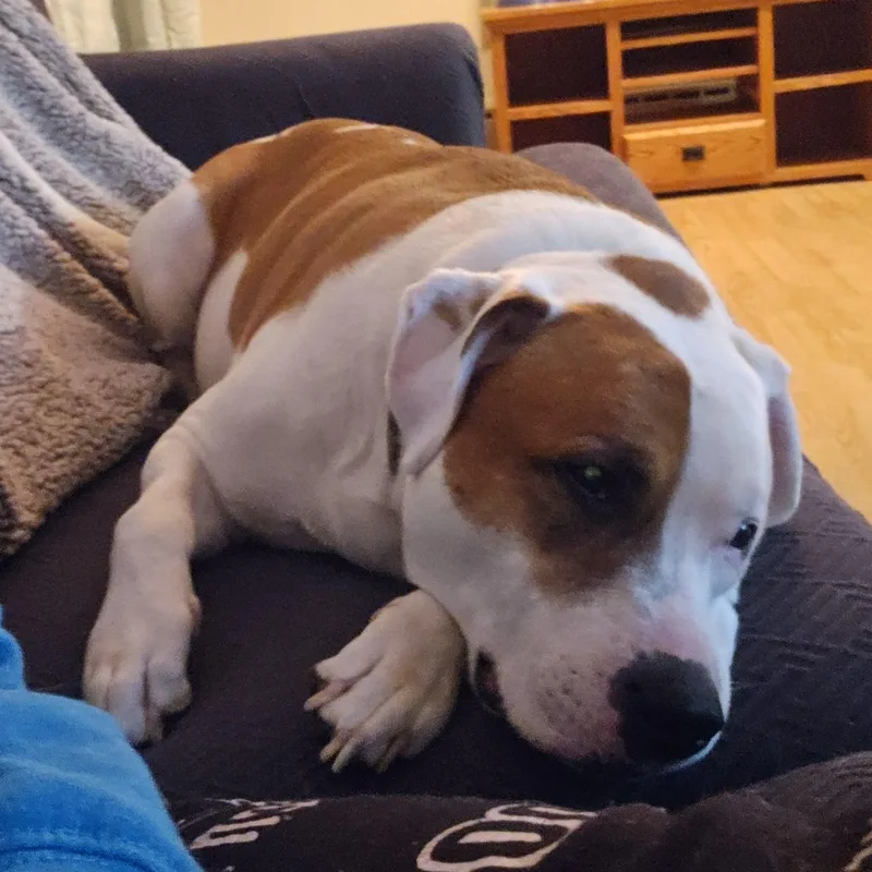 Mack Cross Post thumbnail 2