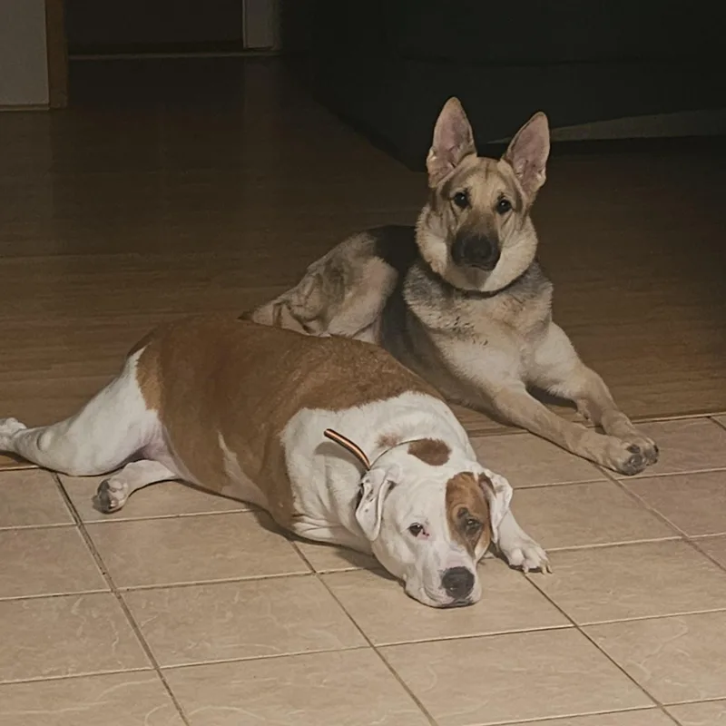 Mack Cross Post thumbnail 3