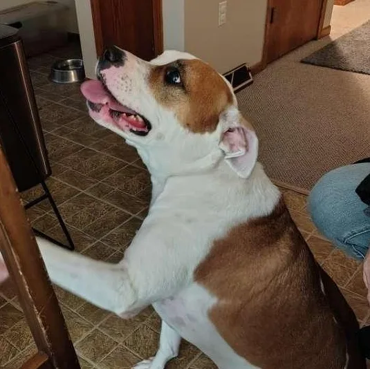 Mack Cross Post thumbnail 4