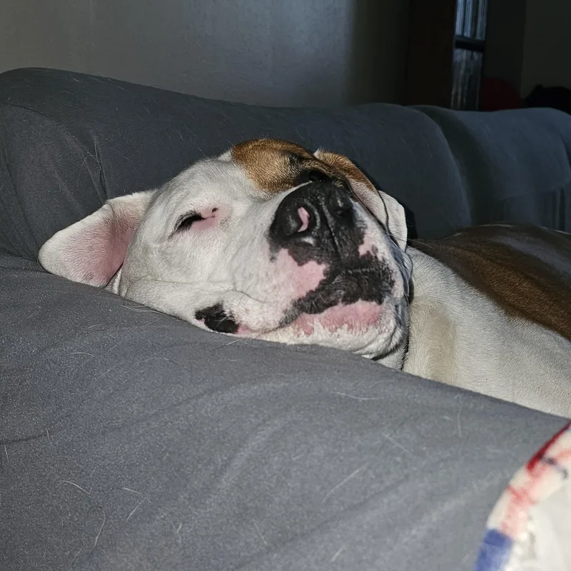 Mack Cross Post thumbnail 5