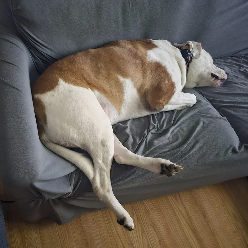 Mack Cross Post thumbnail 6