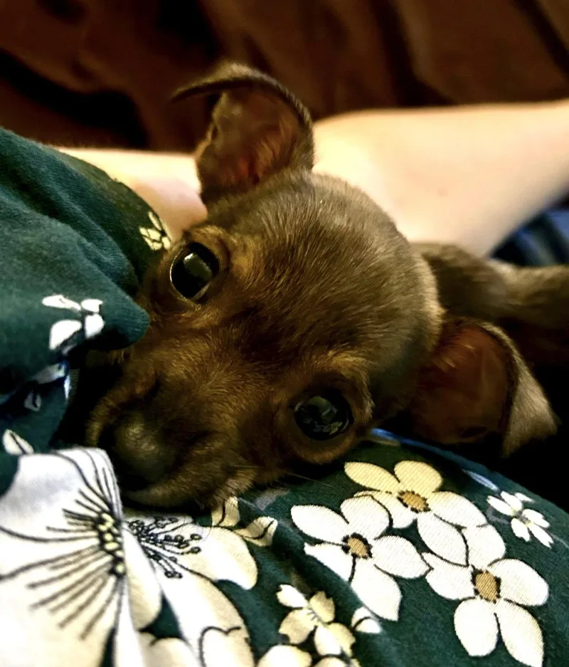 Lindsey thumbnail 3