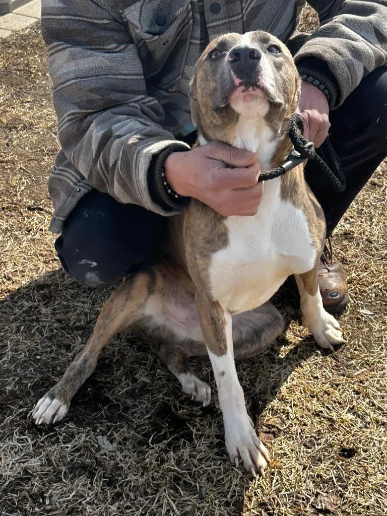 Duke