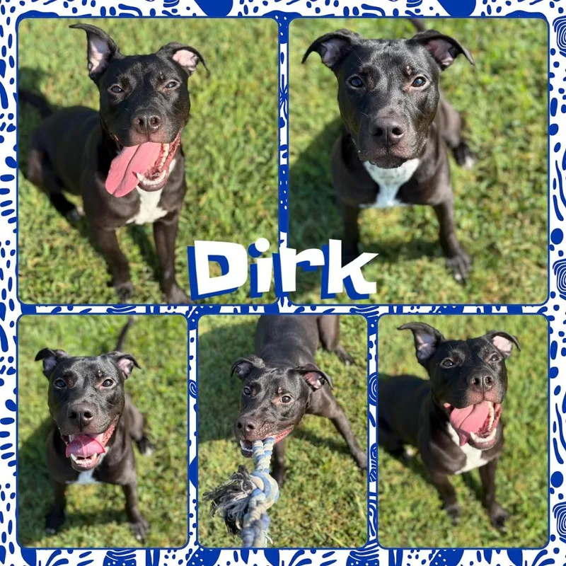 Dirk thumbnail 2