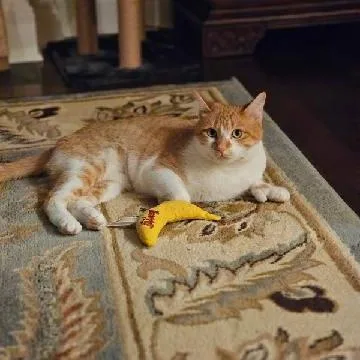 Pearl Cute Mittens! @ thumbnail 3