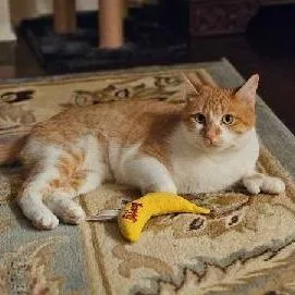 Pearl Cute Mittens! @ thumbnail 4