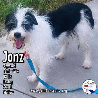 Jonz