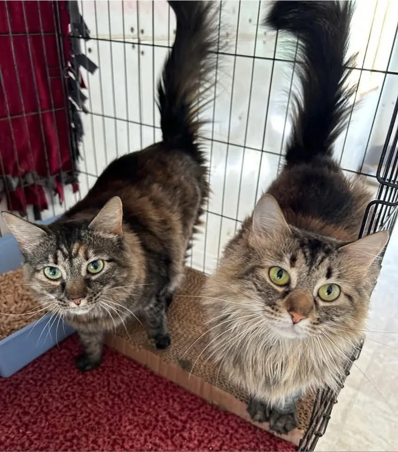 Charlotte thumbnail 4