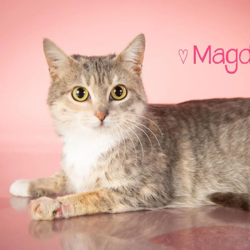 Magdalena thumbnail 2