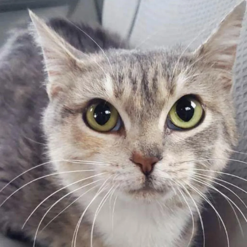 Magdalena thumbnail 3