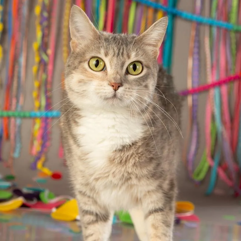 Magdalena thumbnail 4