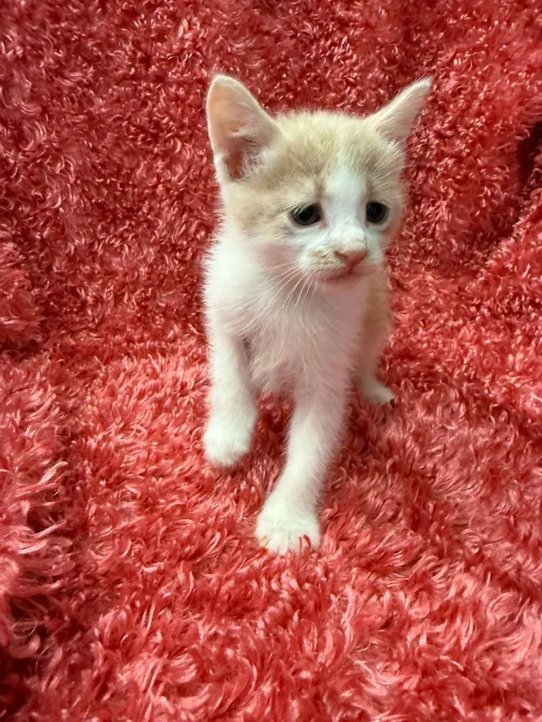Jim
