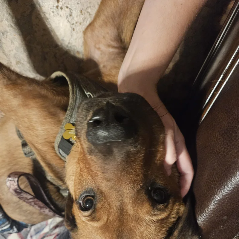 Finnegan thumbnail 2