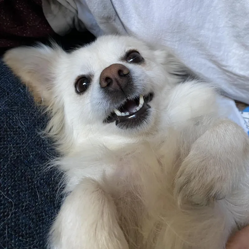 Sapphire thumbnail 3