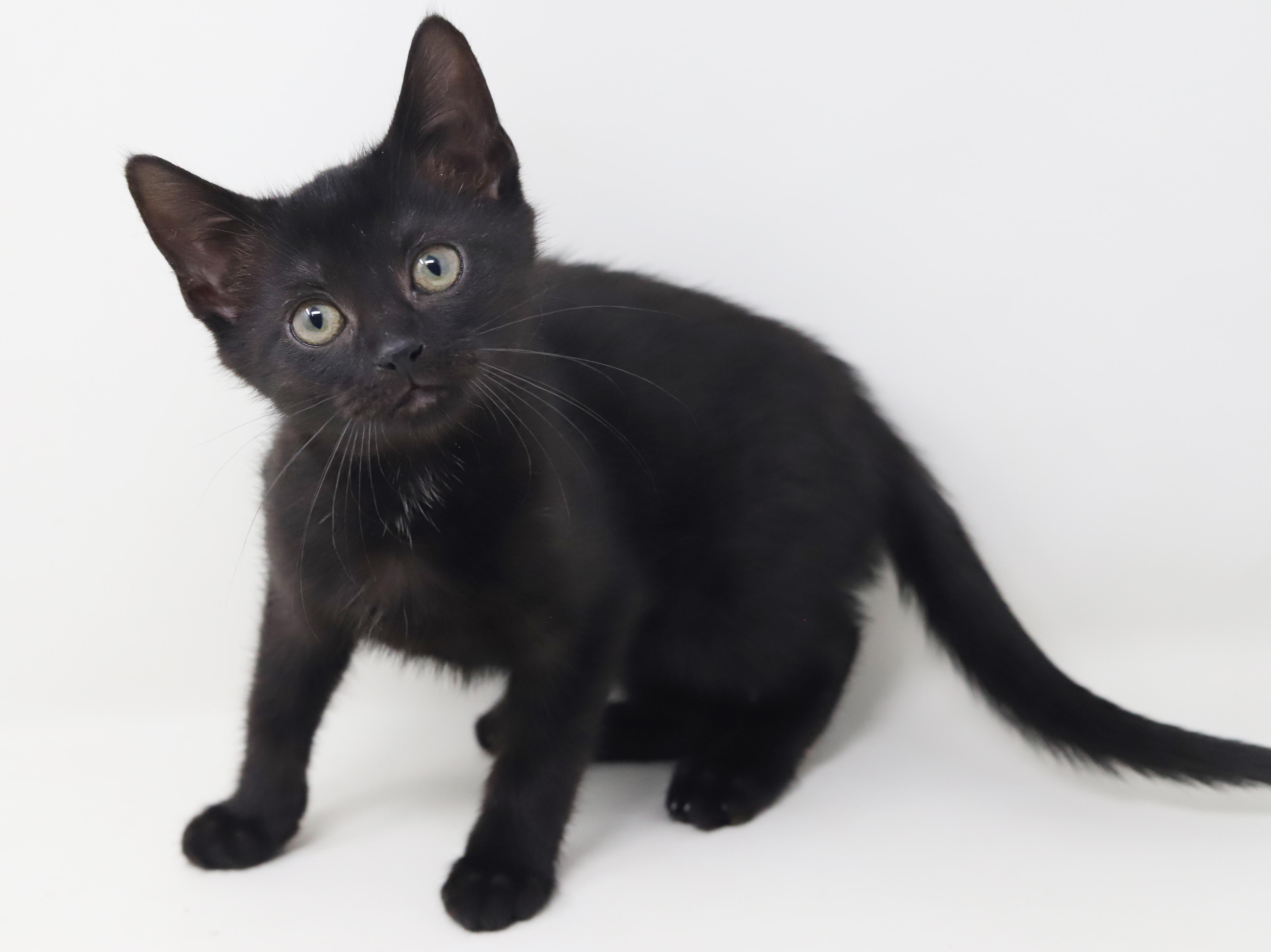 Delilah is a living thumbnail 5