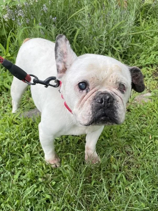 Maggie