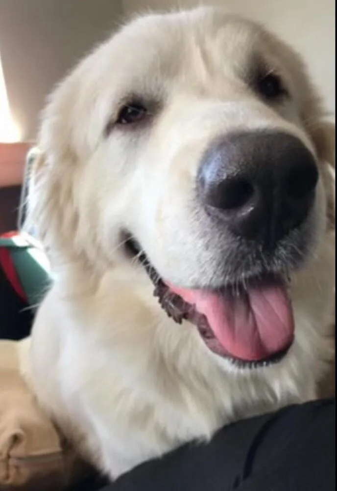 Sammy AKA Samuel thumbnail 6