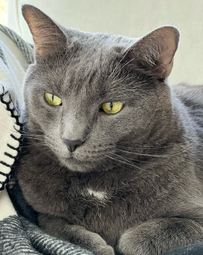 Blue doesn't get any thumbnail 3