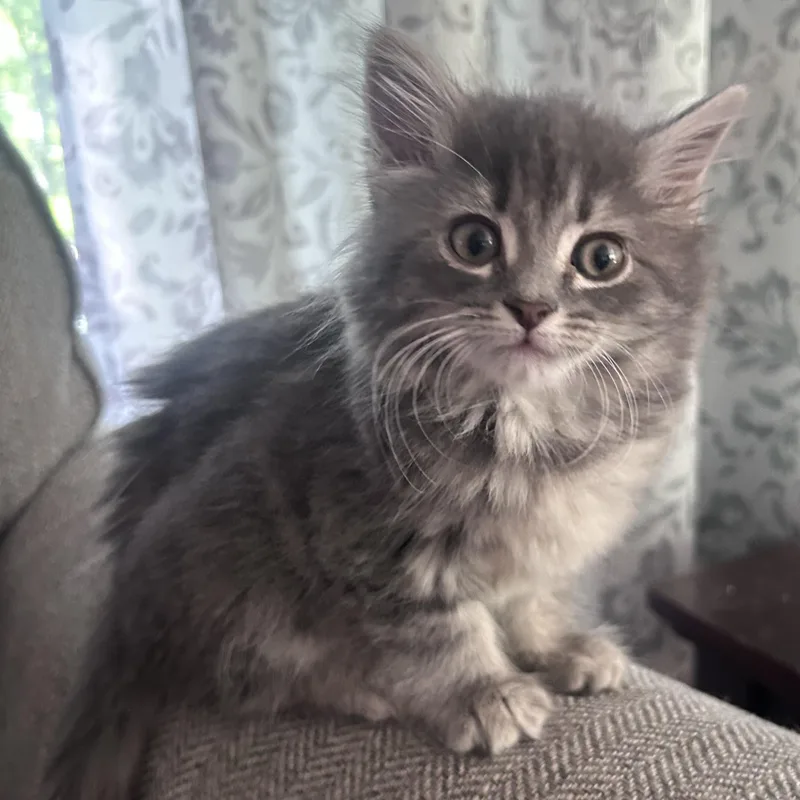 Eleanor thumbnail 2