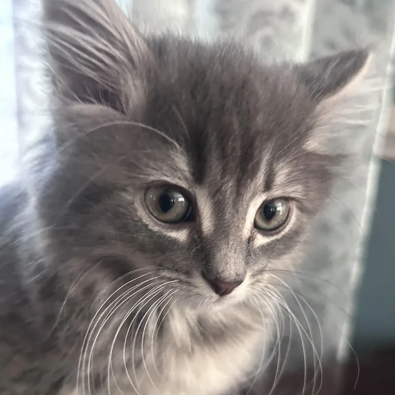 Eleanor thumbnail 3