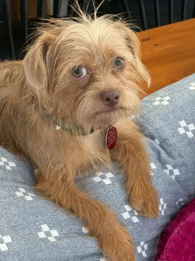 Murphy