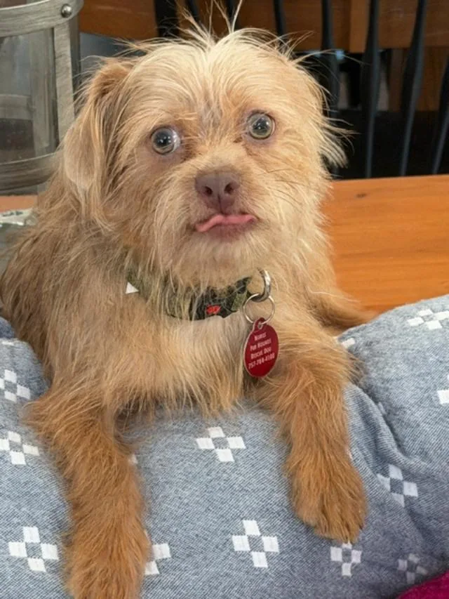 Murphy thumbnail 6