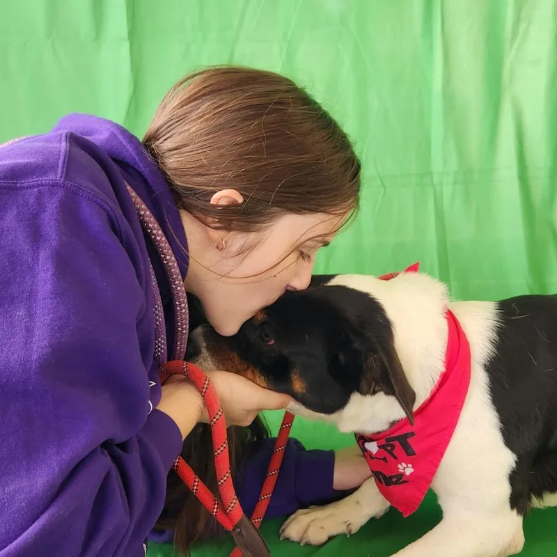 Miss Bea Jumhs thumbnail 4