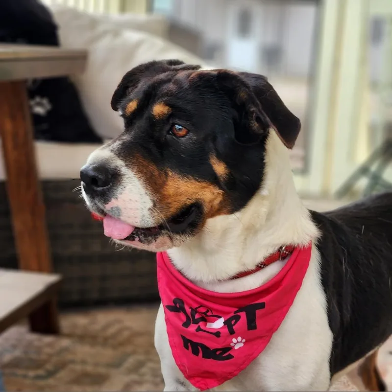 Miss Bea Jumhs thumbnail 5