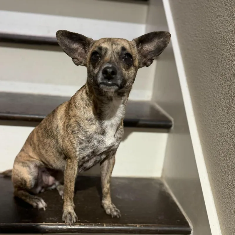 Temu D Arriving thumbnail 2