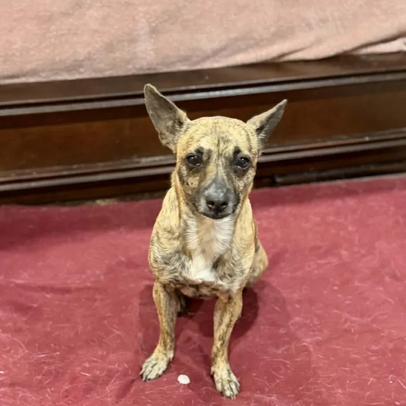 Temu D Arriving thumbnail 5