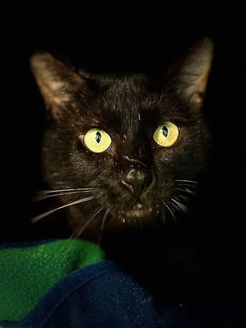 Walter thumbnail 3
