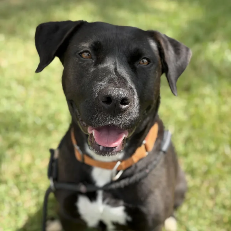 Diamond thumbnail 5