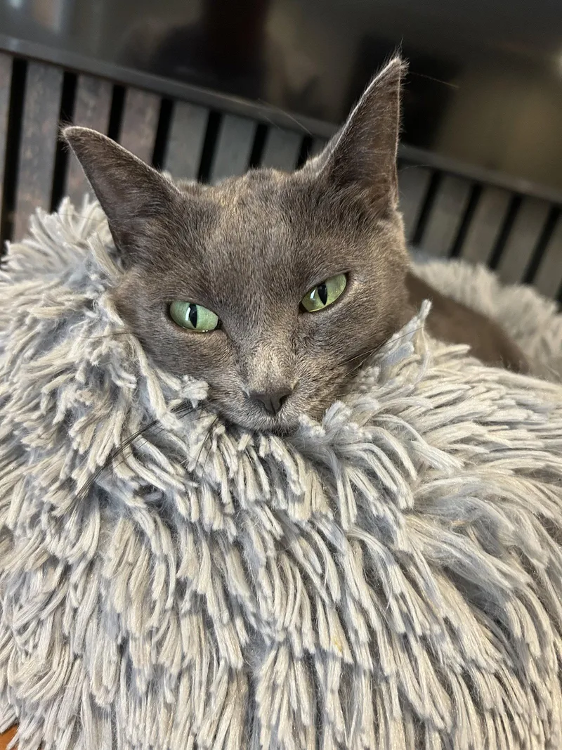 Peace  Kbc thumbnail 2