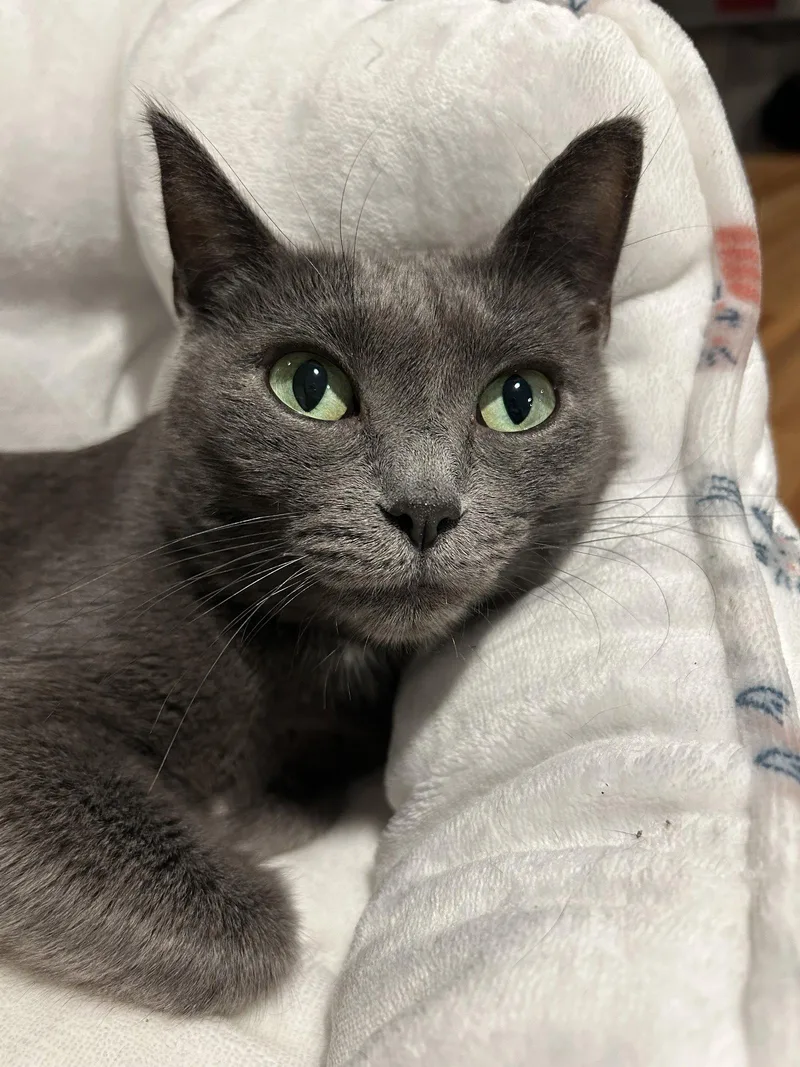 Peace  Kbc thumbnail 3