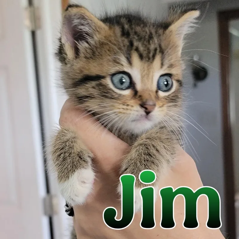 Jim thumbnail 2