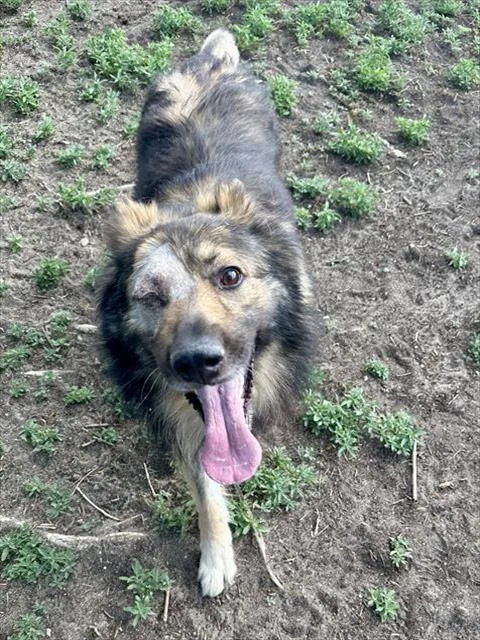 Max