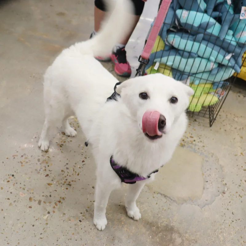 Stormie  Beautiful  thumbnail 3