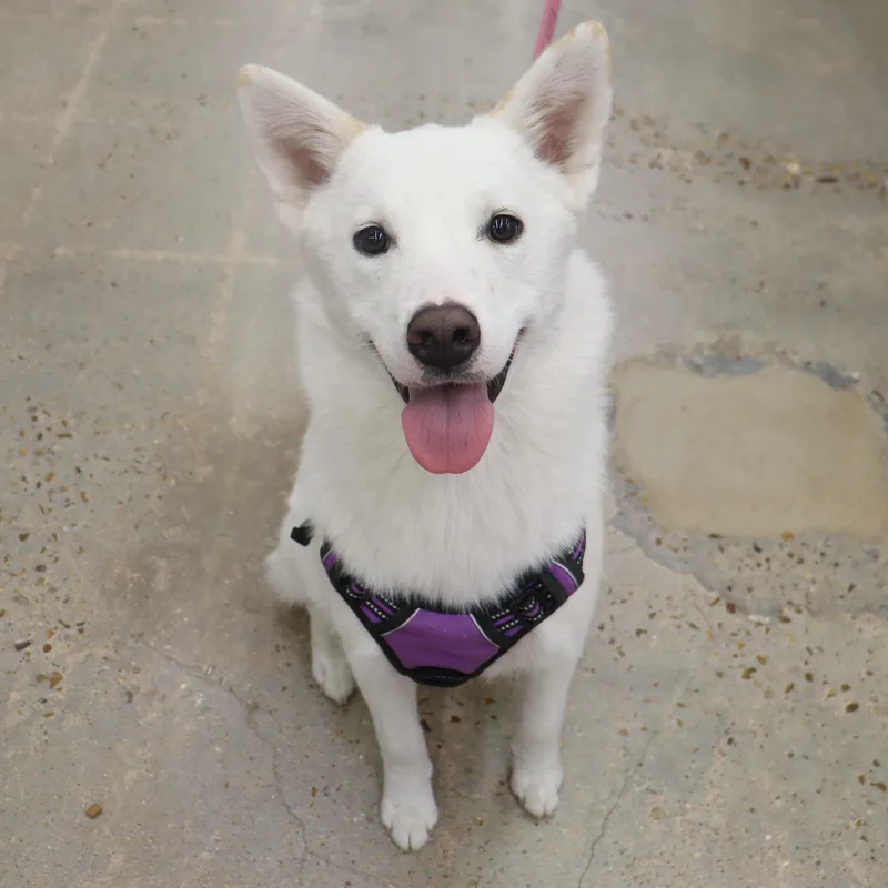 Stormie  Beautiful  thumbnail 6