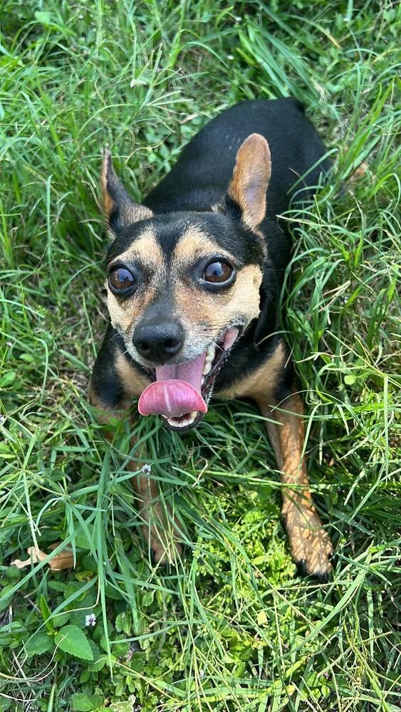 Princesa thumbnail 2