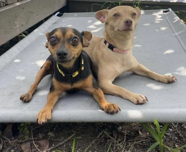 Princesa thumbnail 6