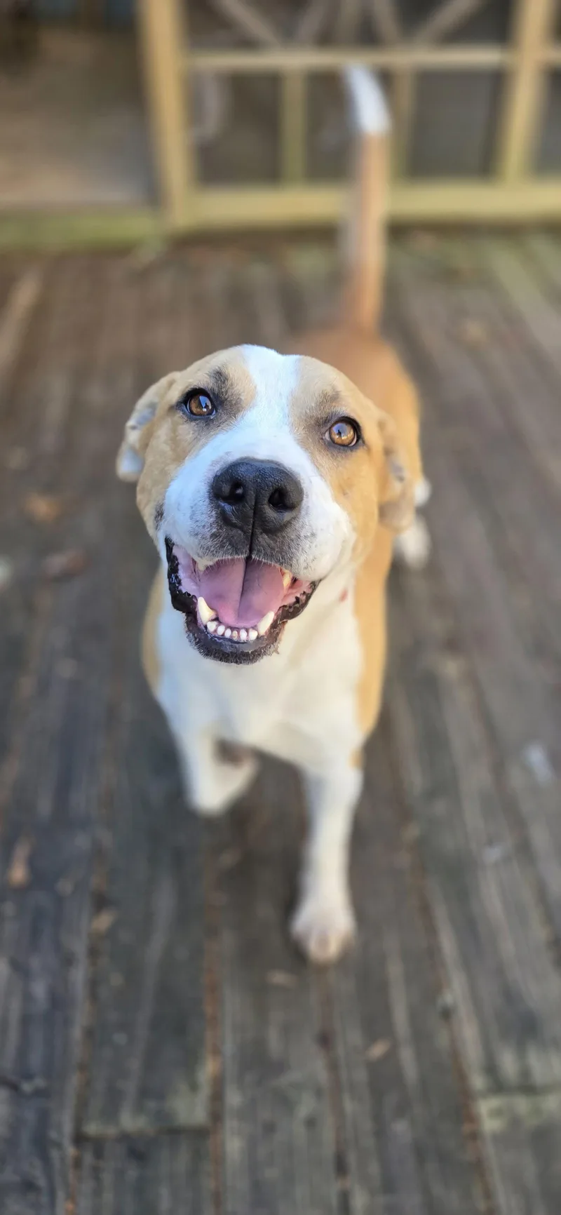 Mick Lizman thumbnail 2