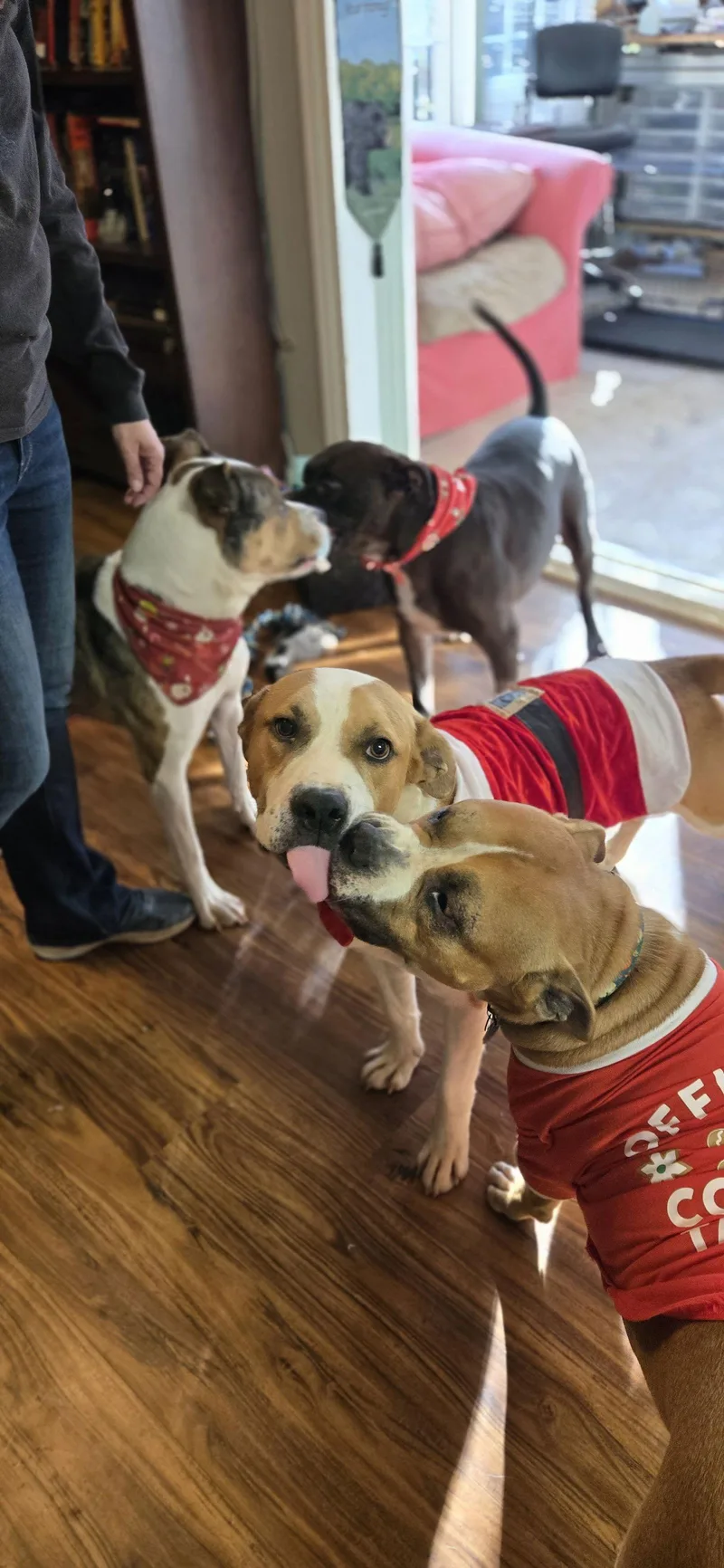 Mick Lizman thumbnail 3