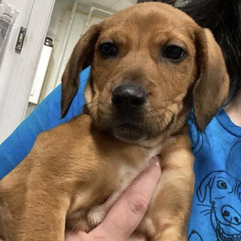 Windborn thumbnail 2