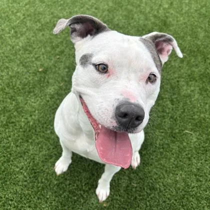 Princess thumbnail 2