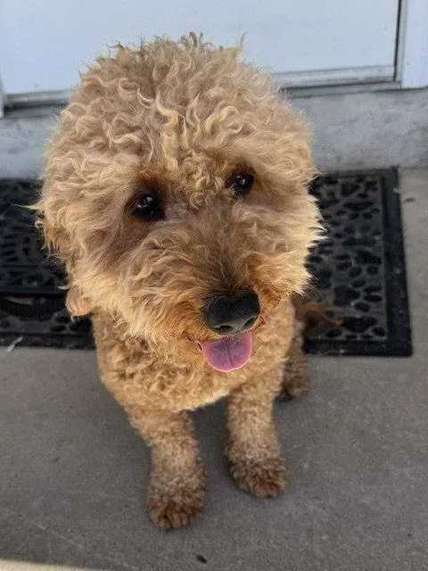 Samson